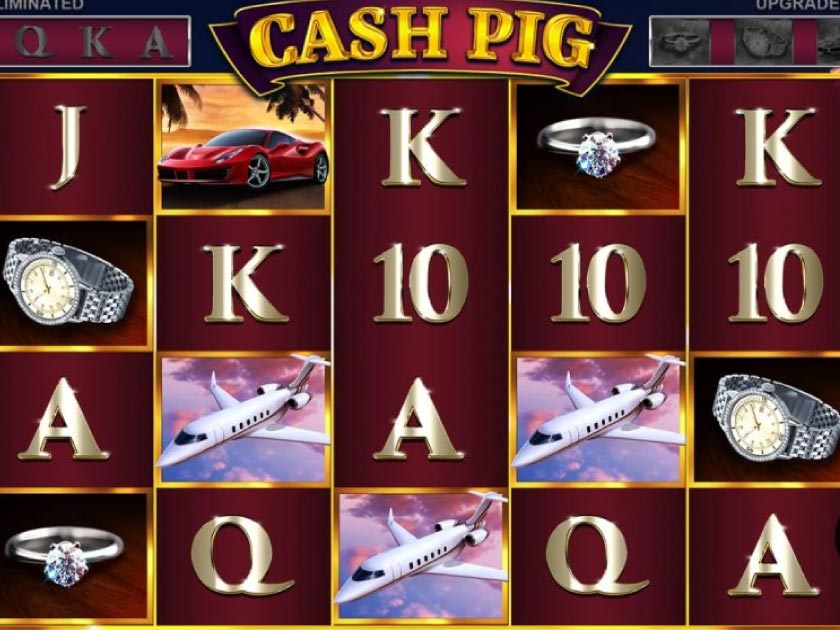 Cash Pig